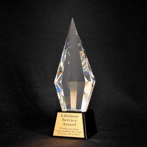 Custom Acrylic Awards | NSDA Store