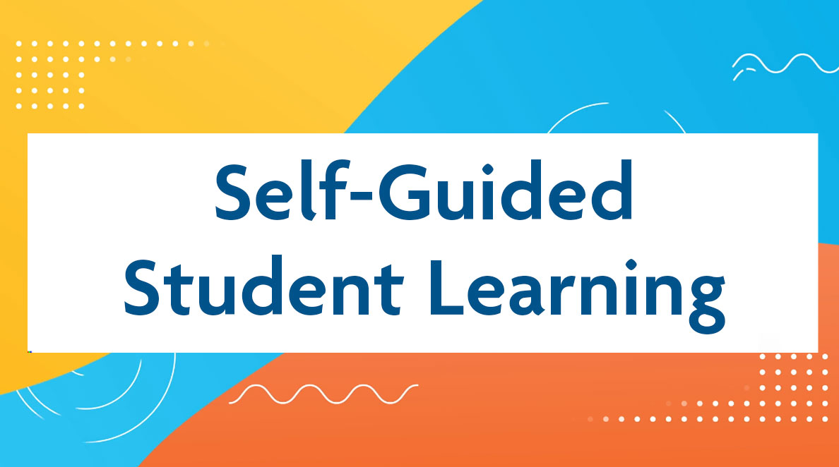 Self-Guided Student Learning